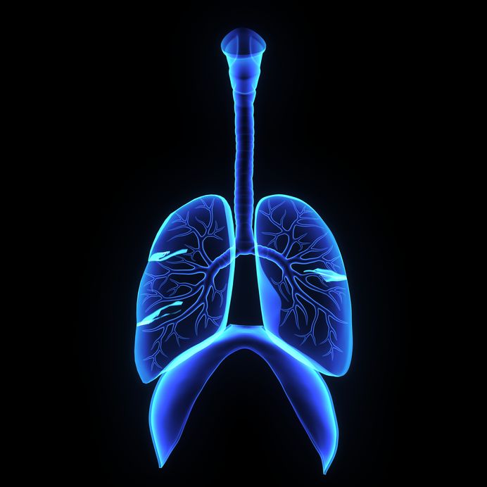 fibrose pulmonar