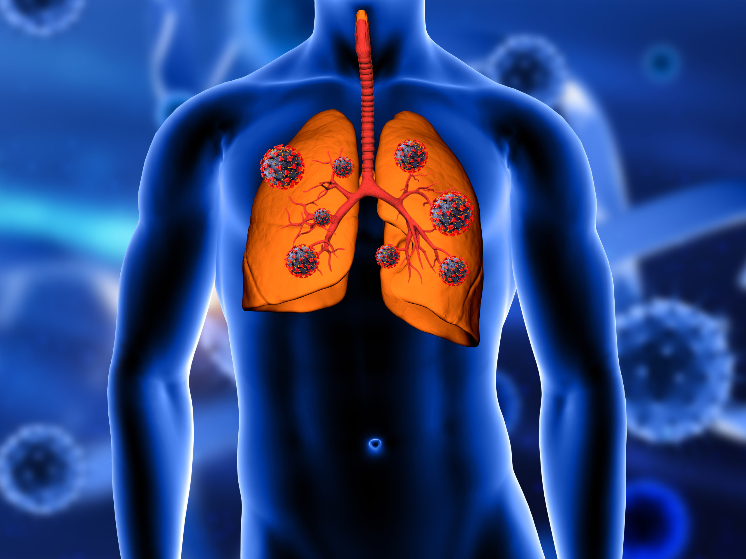 imagem pulmão humano